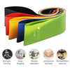 FlexPro Resistance Exercise Bands